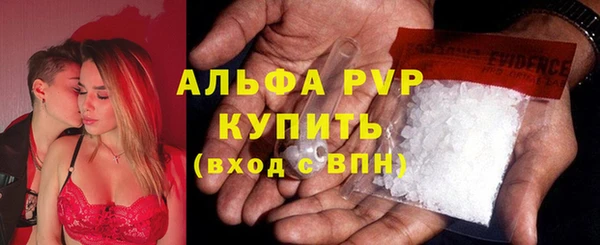 СК Липки