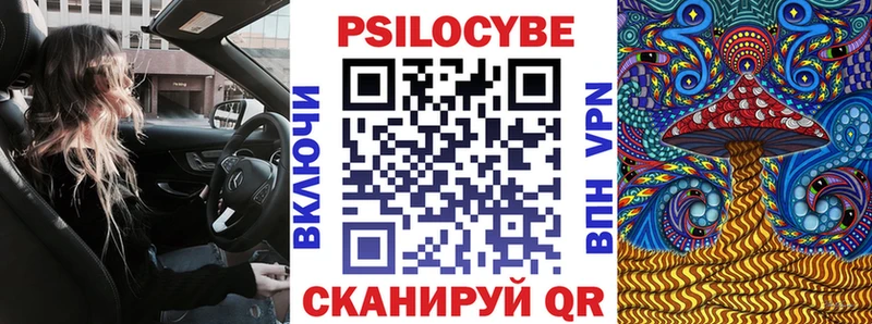 Купить  Кудымкар  Псилоцибиновые грибы Cubensis 